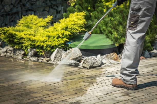 Best Roof Washing  in Galeville, NY