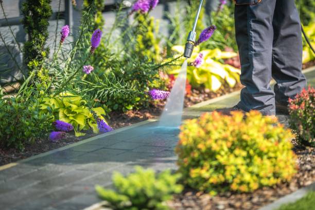 Best Animal Enclosure Cleaning  in Galeville, NY